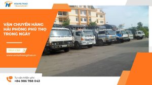 Vận-Chuyển-Hàng-Hải-Phòng-Phú-Thọ-Trong-Ngày-hoàng thao