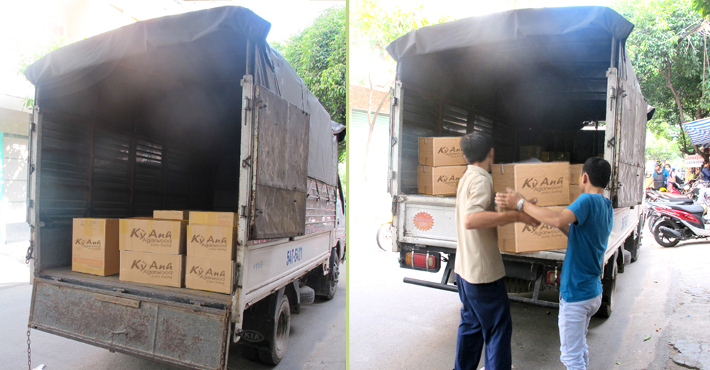 cong-ty-van-tai-nam-bac-hoang-thao-transport